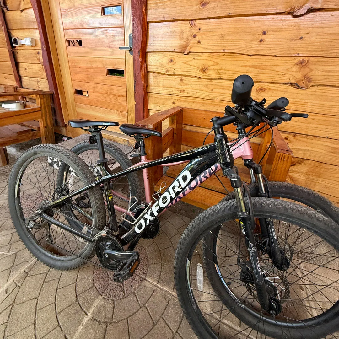 Galería - Imagen 32