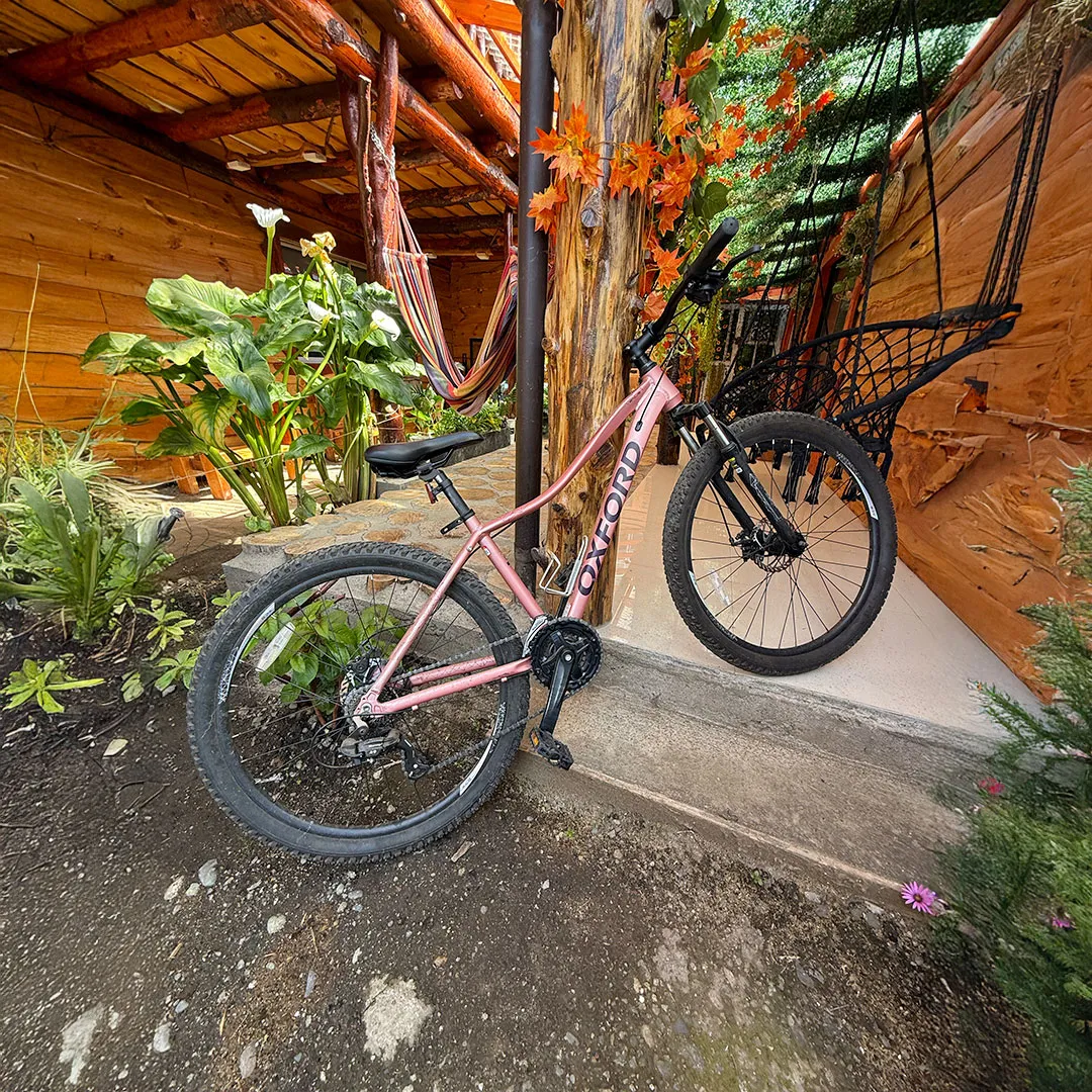 Galería - Imagen 33