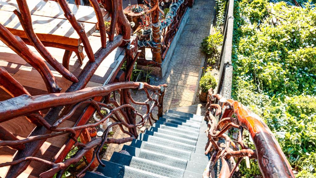 Galería - Imagen 16