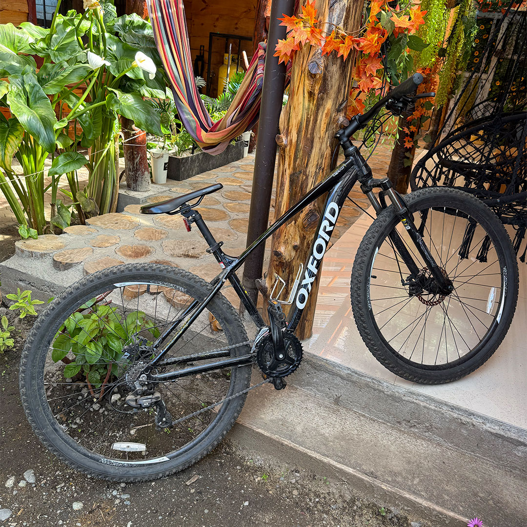 Galería - Imagen 34